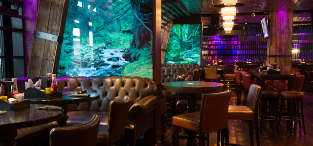McGettigan's