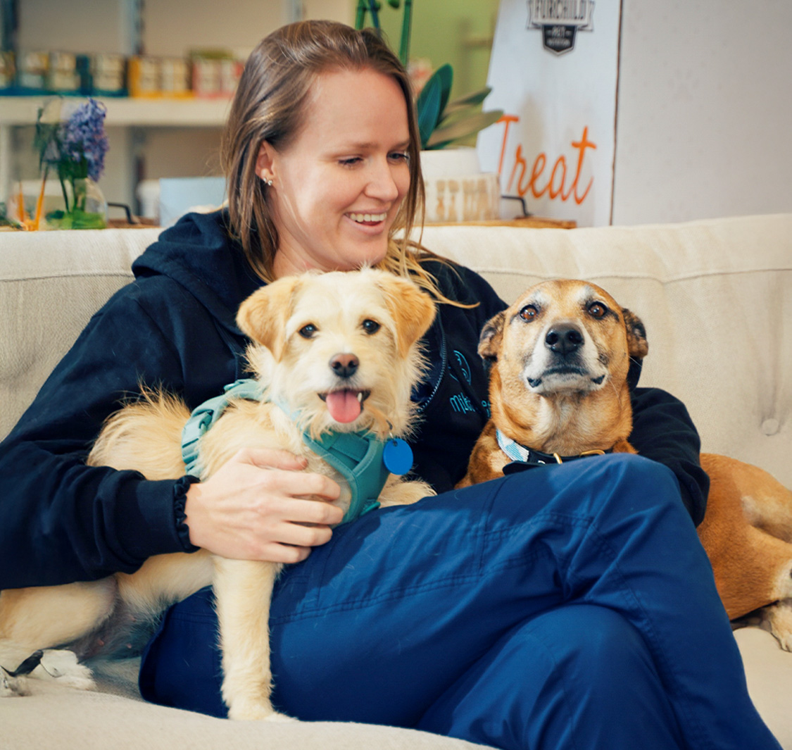 Mikes Veterinary Clinic