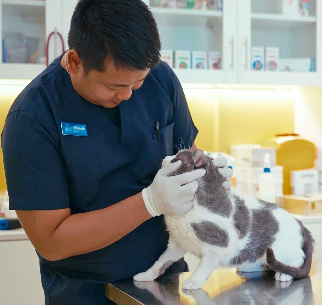 Mikes Veterinary Clinic