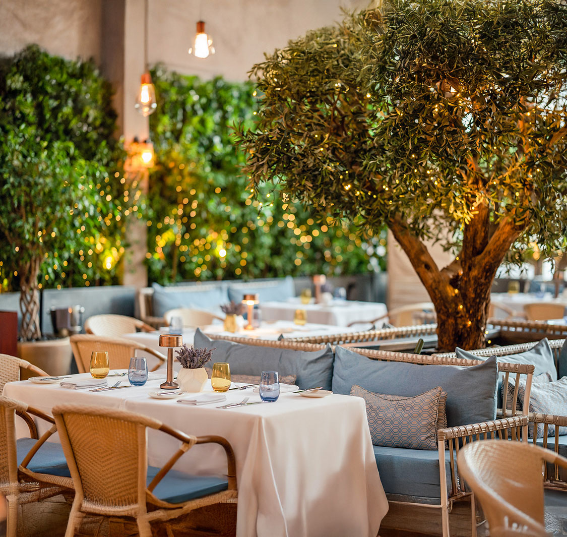 Mina Brasserie | | Buy One Get One Free | The ENTERTAINER