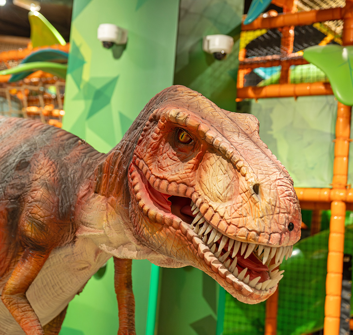 National Geographic Ultimate Explorer