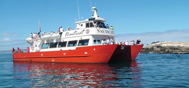 Nauticat Charters