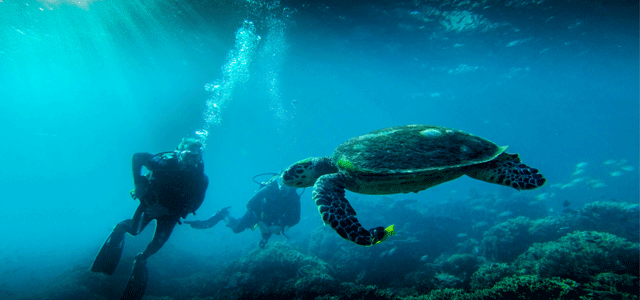 Nemo Diving Center