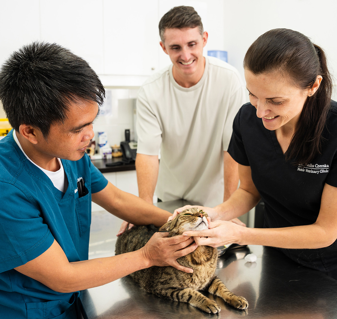 Noble Veterinary Clinic