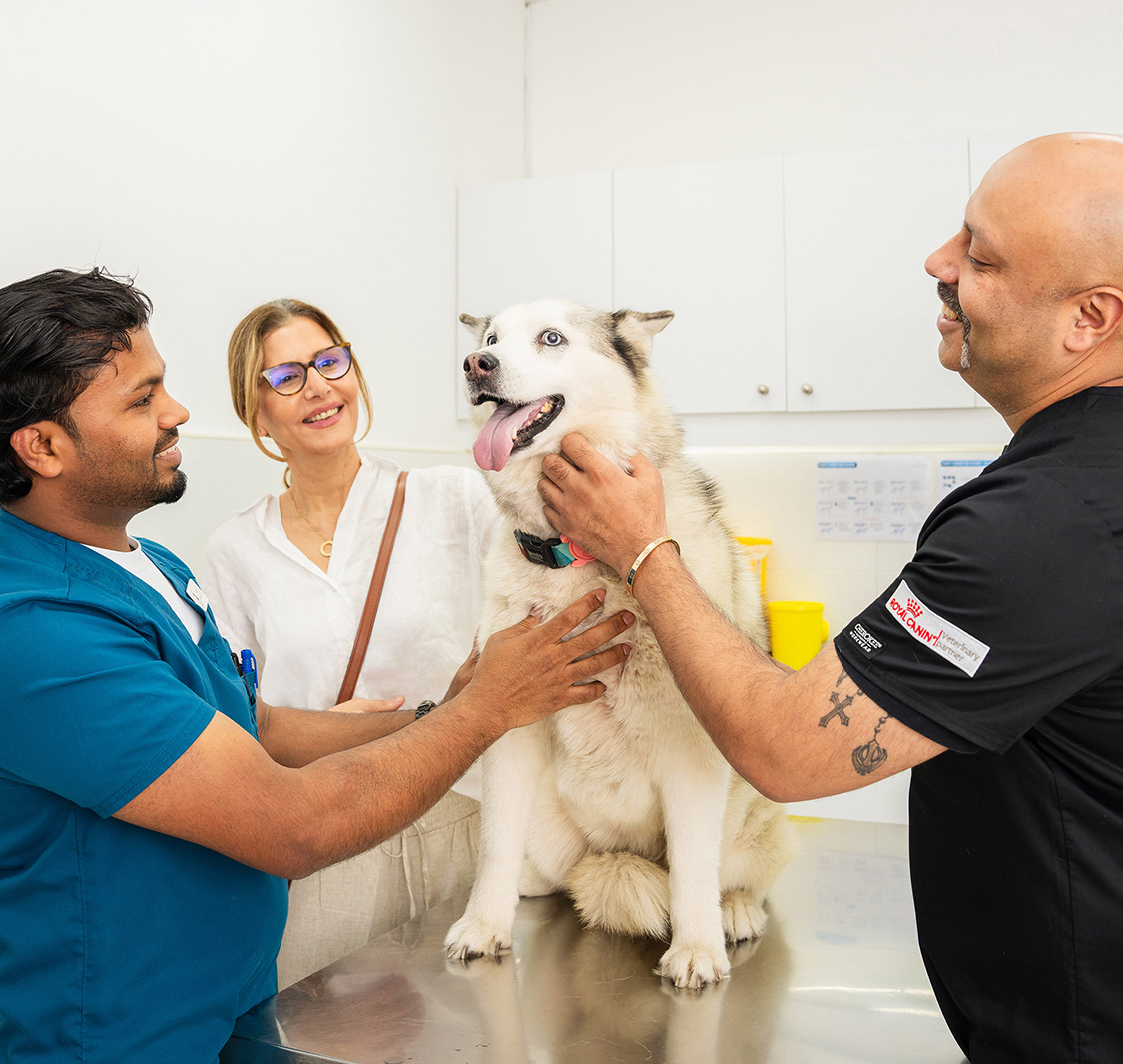 Noble Veterinary Clinic