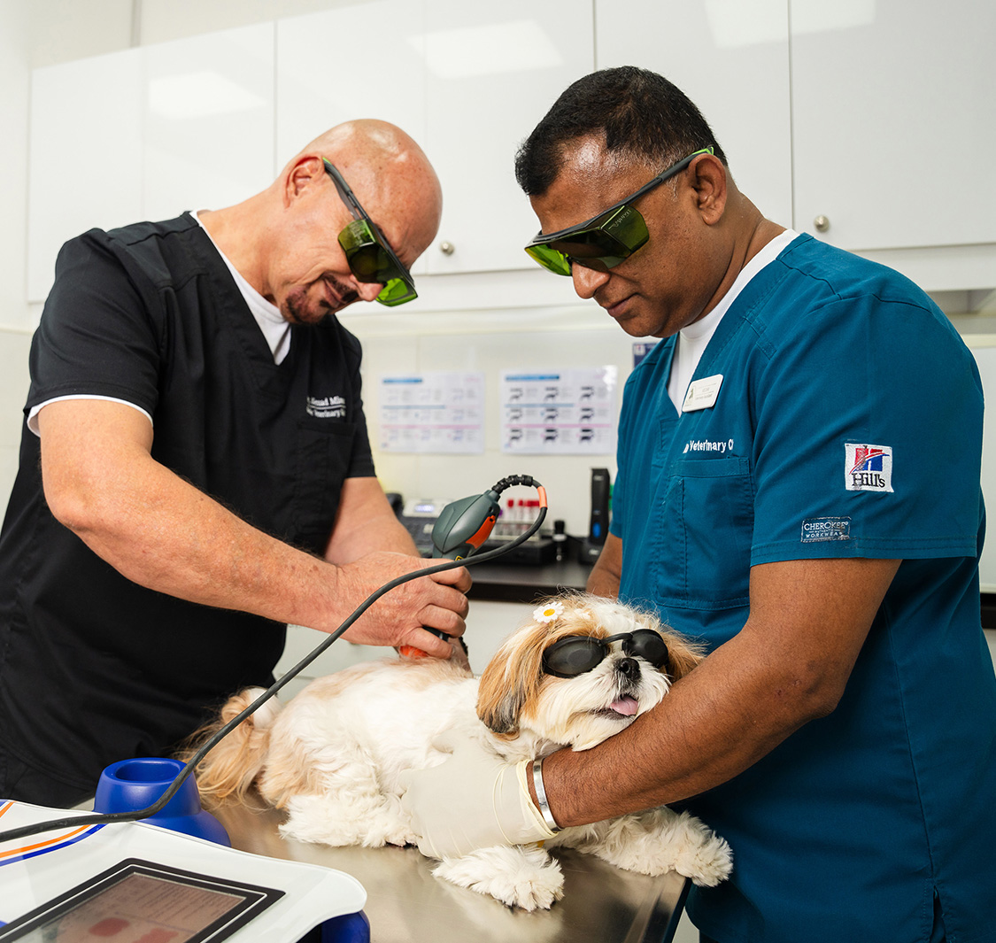 Noble Veterinary Clinic