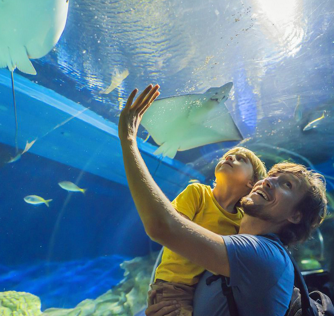 Oman Aquarium