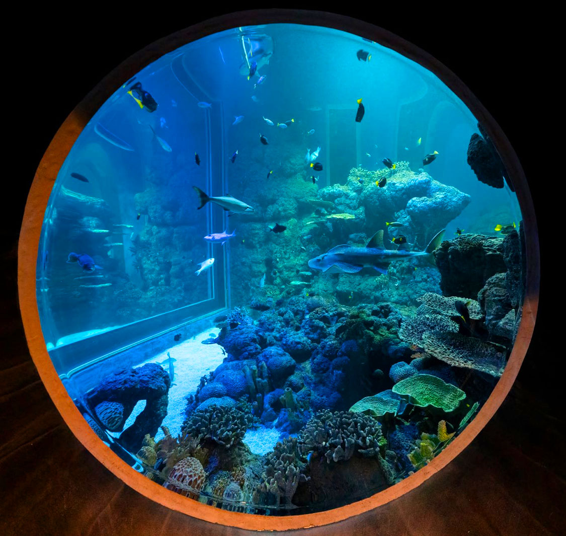 Oman Aquarium