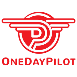 One Day Pilot