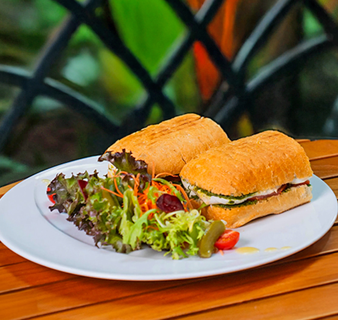 Panini
