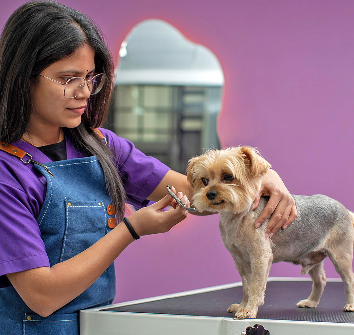 Paw Street Grooming