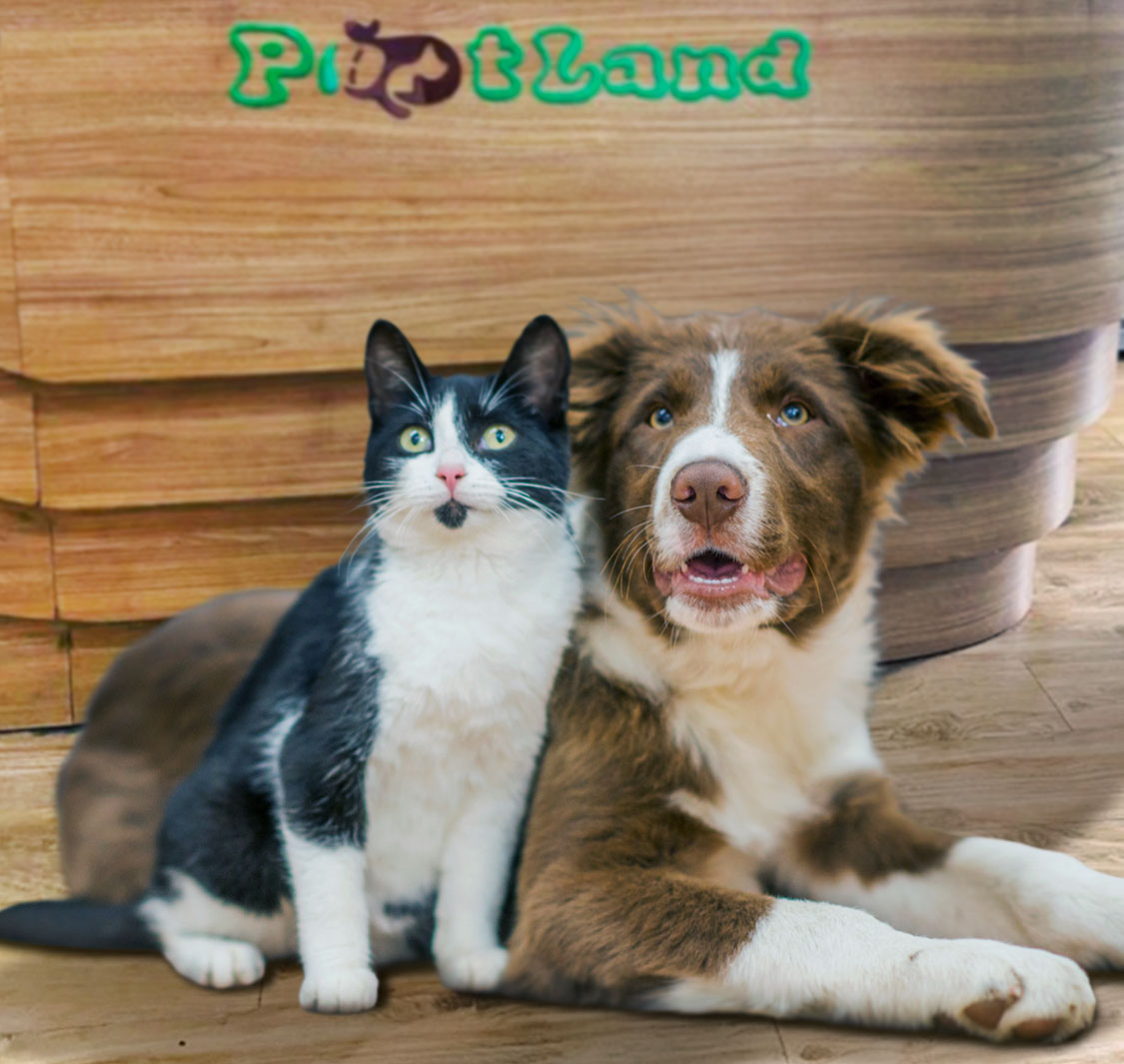 Pet Land