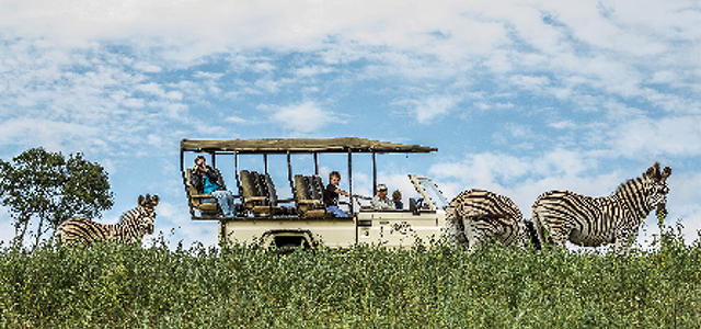 Phezulu Safari Park
