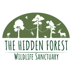The Hidden Forest Wildlife Sanctuary