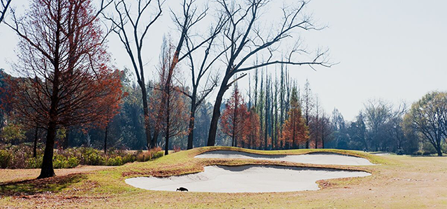 Royal Johannesburg and Kensington Golf Club East Course
