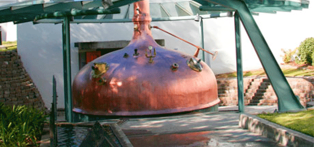 SAB Newlands Brewery Tour