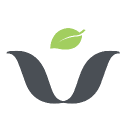 Salad Atelier