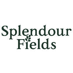 Splendour Fields