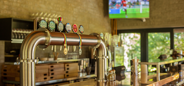 Stellenbosch Brewing Co.