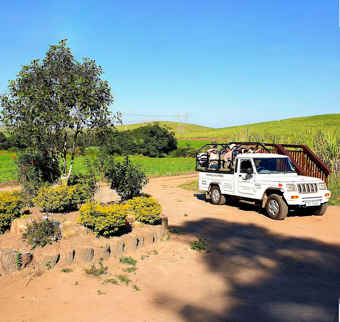 The Hidden Forest Wildlife Sanctuary