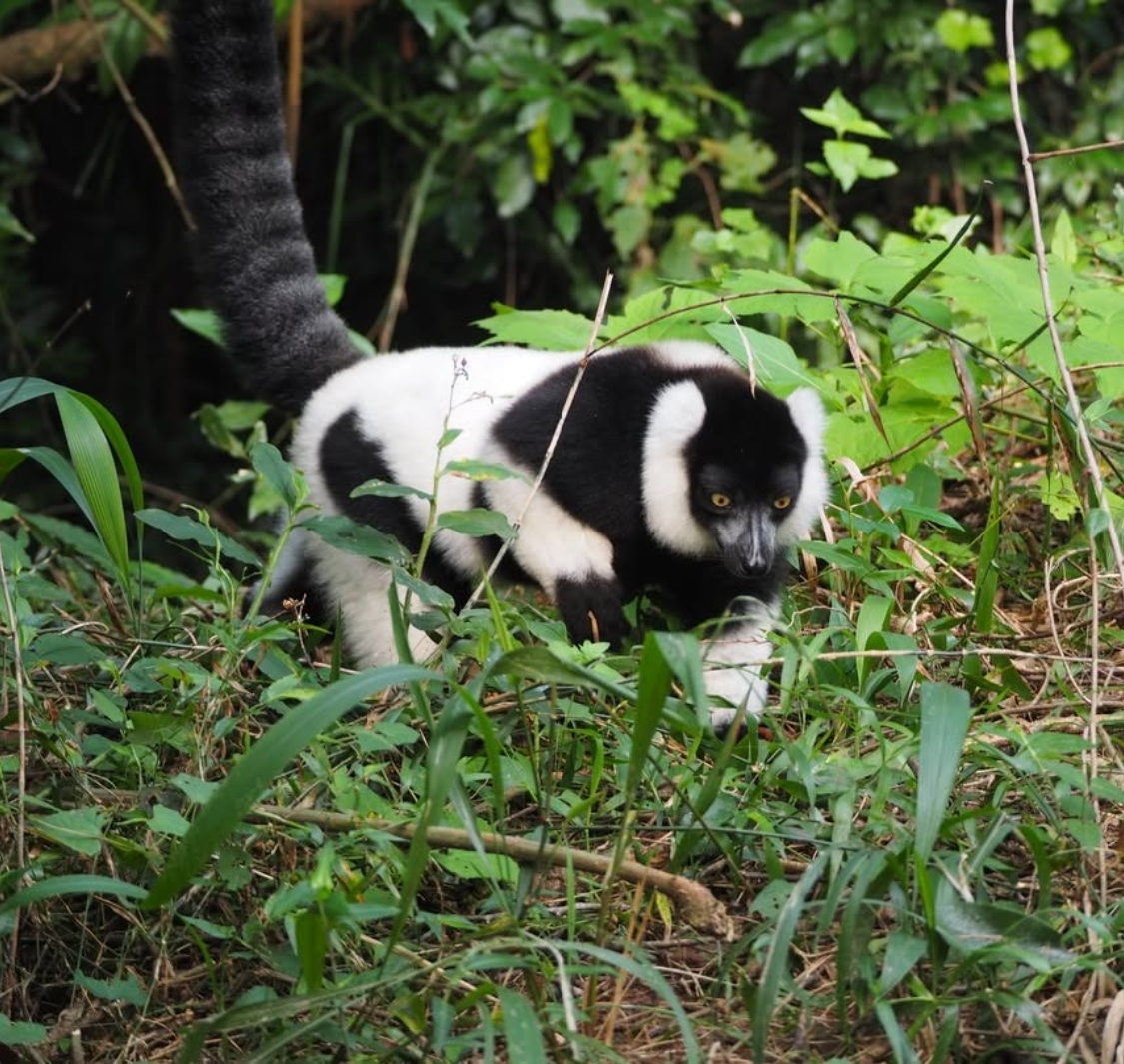 The Hidden Forrest Wildlife Sanctuary