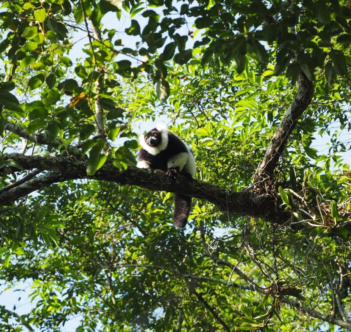 The Hidden Forrest Wildlife Sanctuary