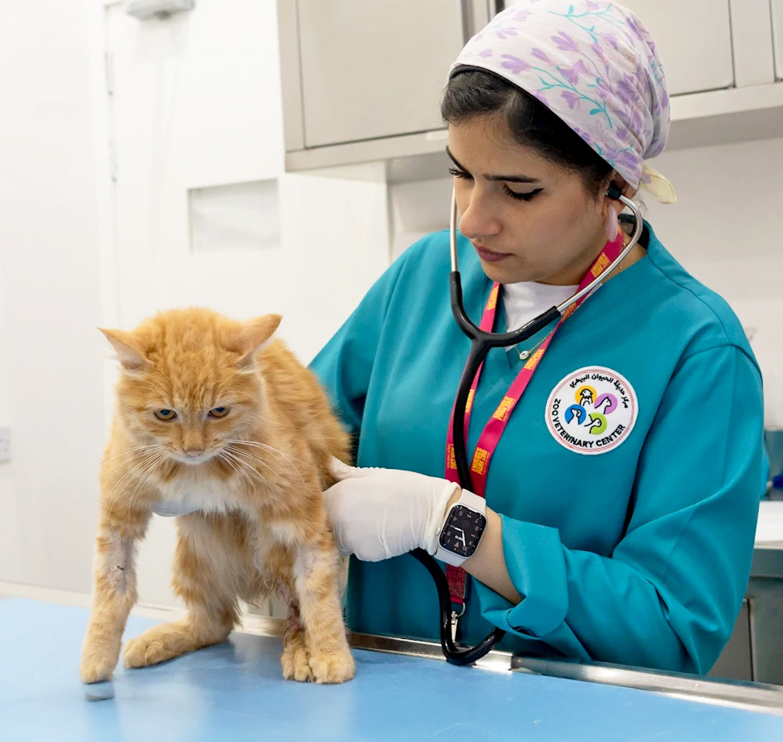 The Zoo Veterinary Centre