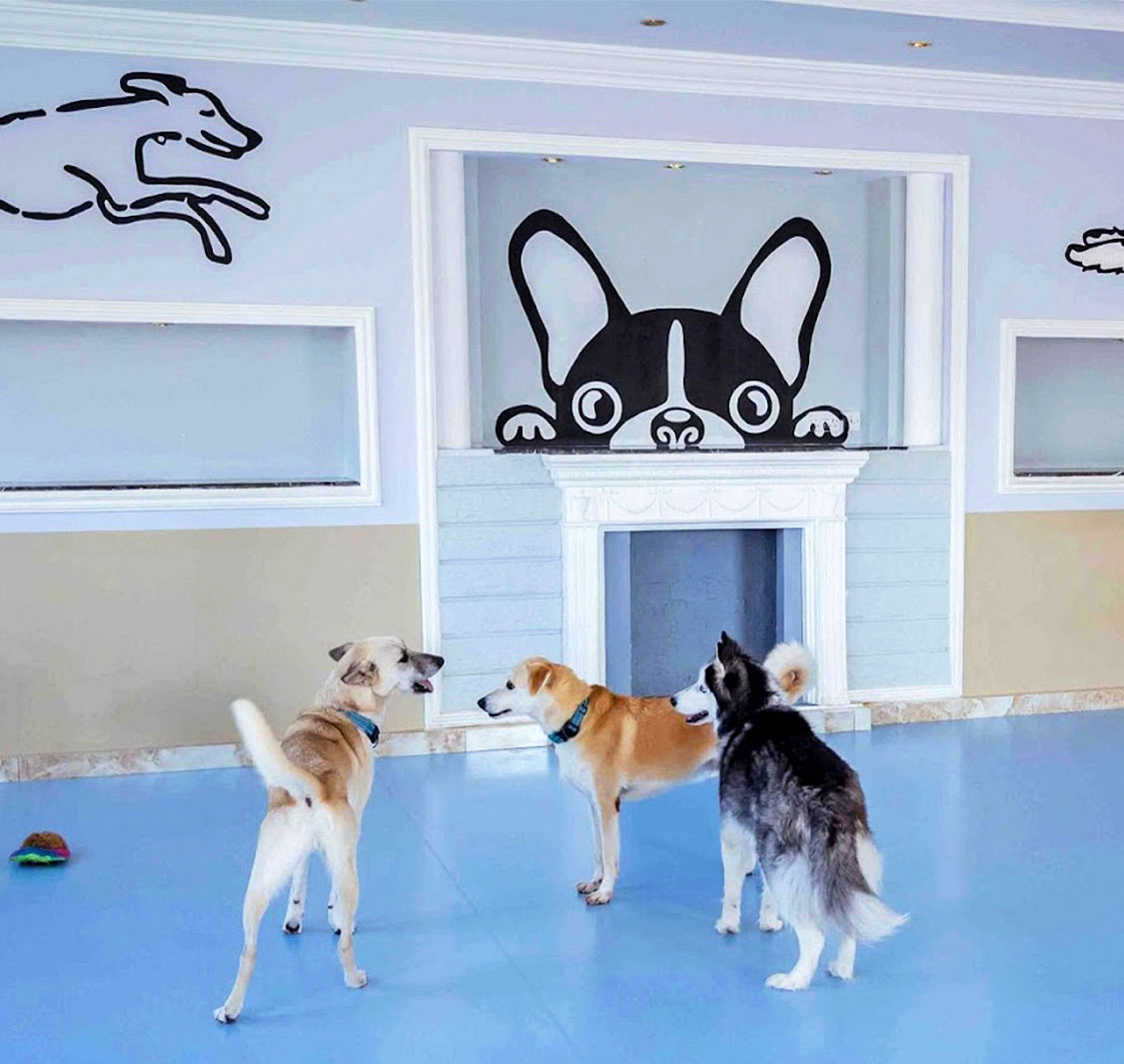 The Zoo Veterinary Centre