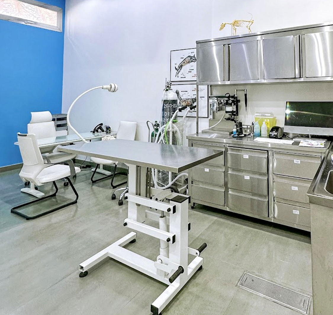 The Zoo Veterinary Centre