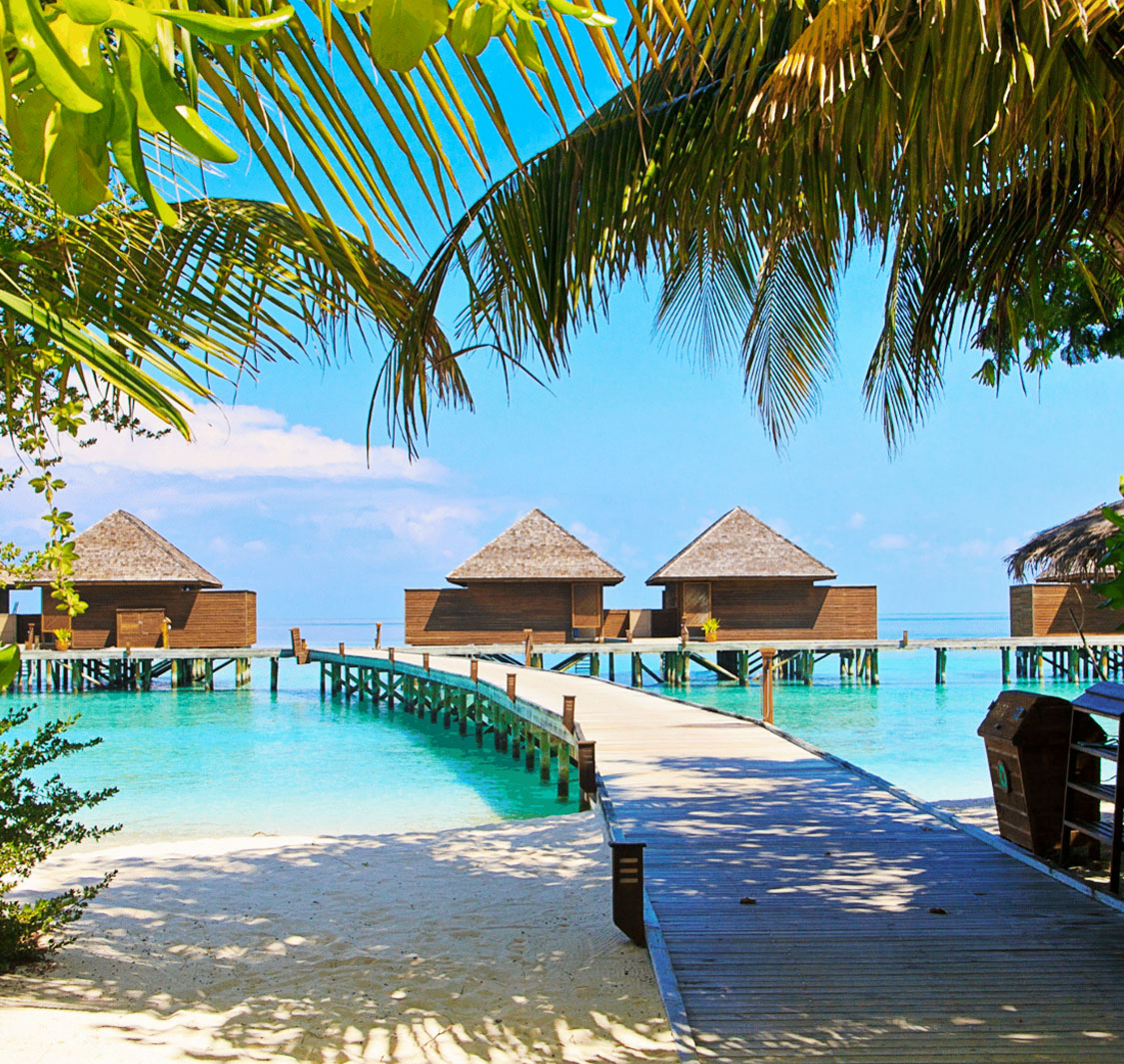 Trans Orient Travel & Tourism