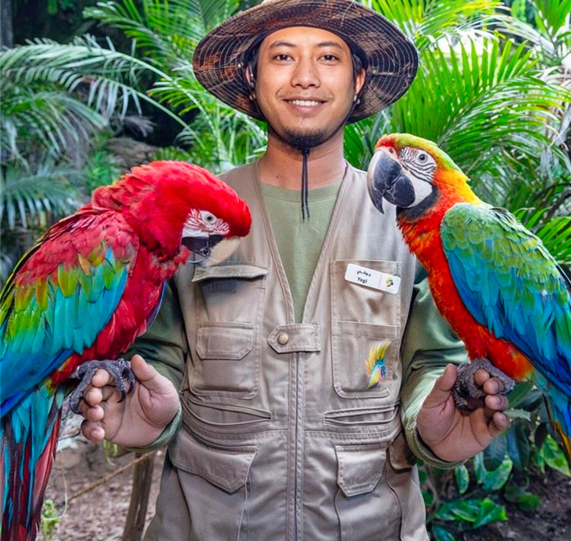 Tropical Land