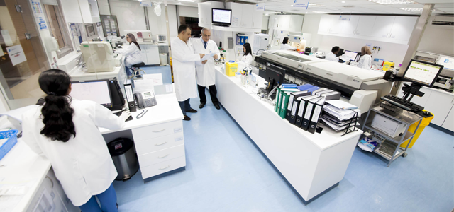 York Diagnostic Laboratories